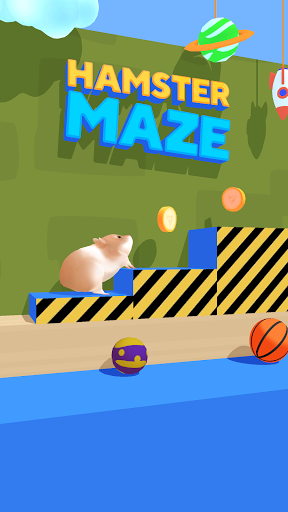 Aperçu Hamster Maze - Img 1