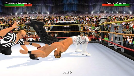 Aperçu Wrestling Revolution 3D - Img 2